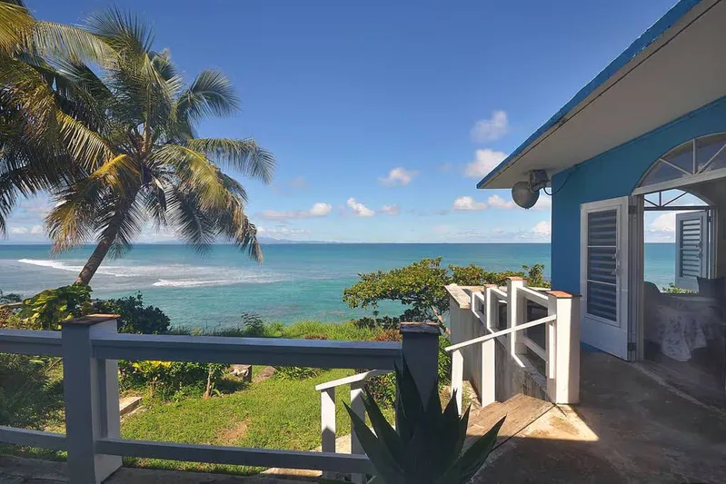 Coastal home with a palm tree beside turquoise ocean water